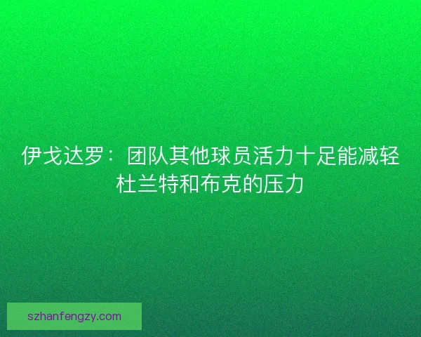 伊戈达罗:团队其他球员活力十足能减轻杜兰特和布克的压力 伊戈达罗:团队其他球员活力十足能减轻杜兰特和布克的压力