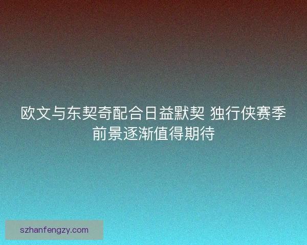 欧文与东契奇配合日益默契 独行侠赛季前景逐渐值得期待
