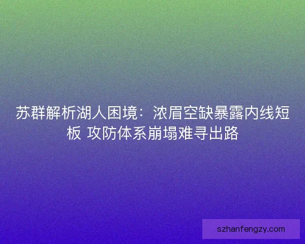 苏群解析湖人困境：浓眉空缺暴露内线短板 攻防体系崩塌难寻出路
