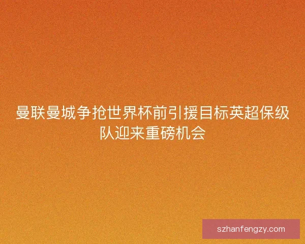 曼联曼城争抢世界杯前引援目标英超保级队迎来重磅机会 曼联曼城争抢世界杯前引援目标英超保级队迎来重磅机会