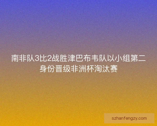 南非队3比2战胜津巴布韦队以小组第二身份晋级非洲杯淘汰赛