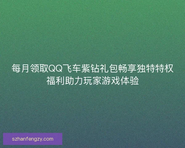 每月领取QQ飞车紫钻礼包畅享独特特权福利助力玩家游戏体验
